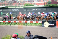 anfitrionas_eventos_jockey7