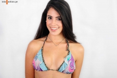 modelo (6)