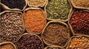 grains